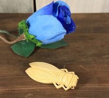 Ancienne broche celluloïd - ancienne,