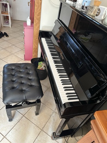Pleyel p131 - p131, (2000)