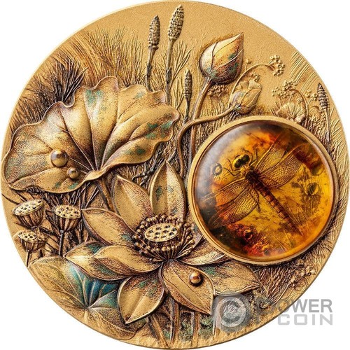 Dragonfly amber mirage - amber, 2