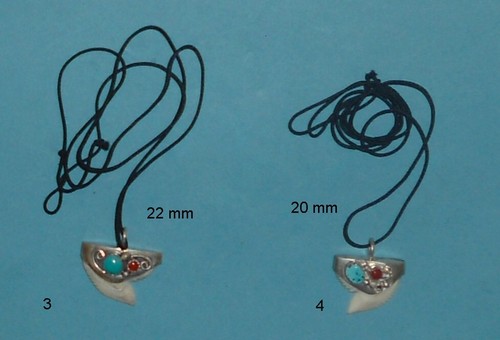 Pendentif dent requin tigre - pendentif,