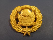 SAPEURS-POMPIERS / INSIGNE