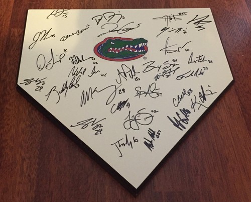2016 florida gators - gators, team