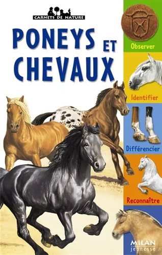 Les poneys chevaux gilles - les, et