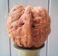 Noix sculptée ancienne sur