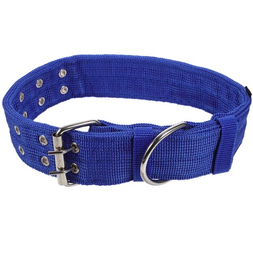 Collier chiot collerette chien - collier,