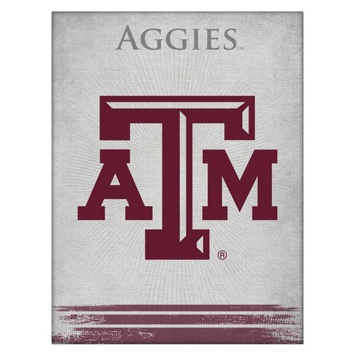 Ncaa texas m - -, logo