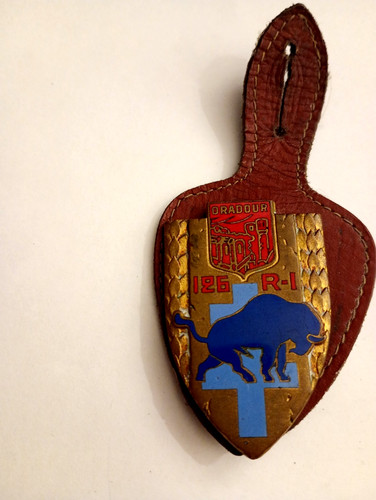 Insigne 126 dradour sur - insigne,