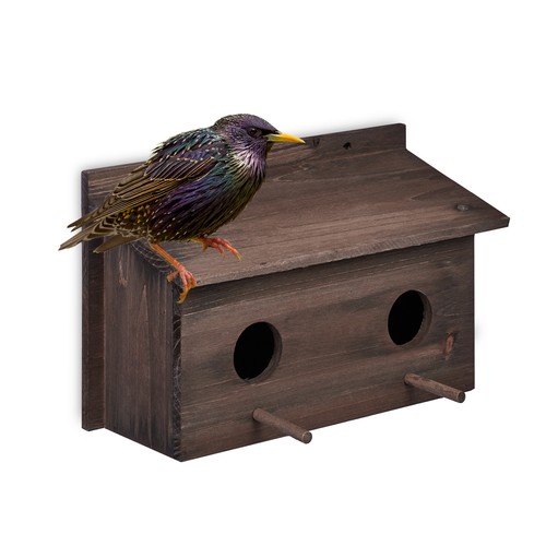 Nichoir oiseaux exterieur