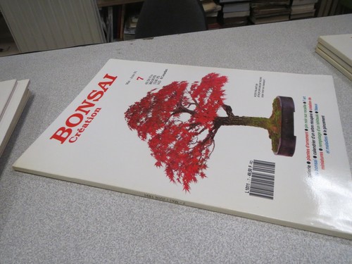 Ca111 bonsai creation 7 - ca111, n°