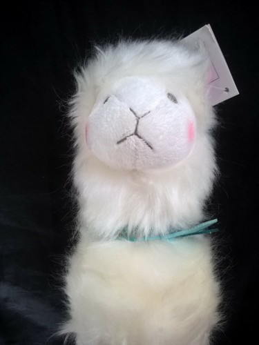 Doudou histoire ours lama - histoire,