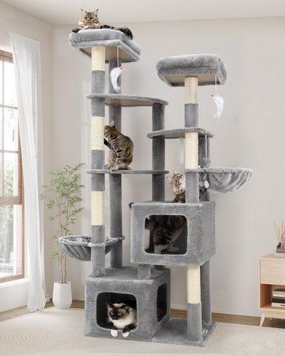Arbre chat pour gros chats - chat,