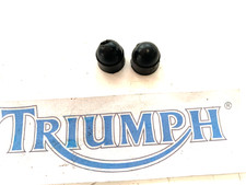 Triumph Daytona 955i Ss Miroir