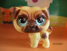Petshop Chien Carlin #623 /
