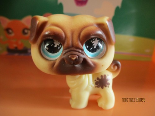 Petshop chien carlin 623 - #623, /