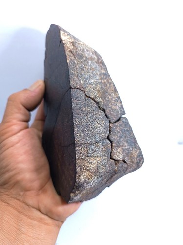 Main mass meteorite - main,
