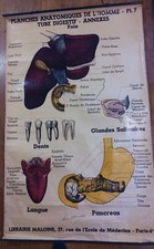 Affiche ancienne planche