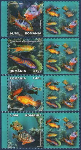 Roumanie 2012 tropical - roumanie,