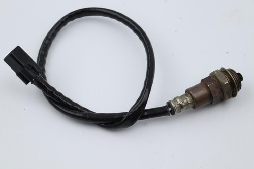 Sonde lambda yamaha mt09 - yamaha, 900