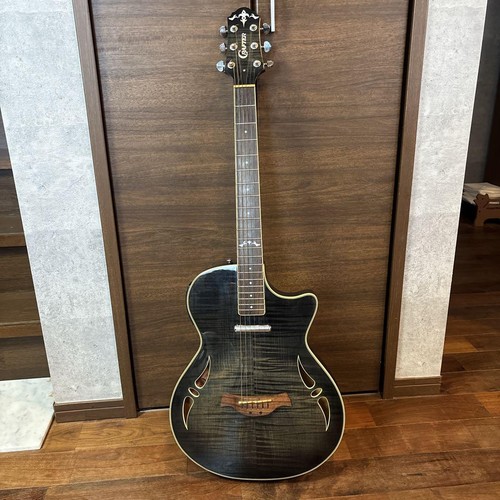 Guitare électro acoustique - guitare, électro-acoustique