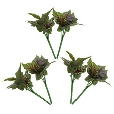  6 Pcs Plantes Vertes