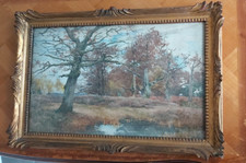 Louis Henri Delcus - Forêt de