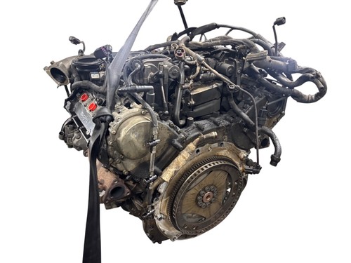 Audi bug v2900604 - (4l),
