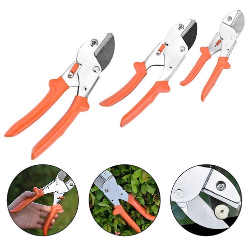 Ciseaux jardinage sans - de,