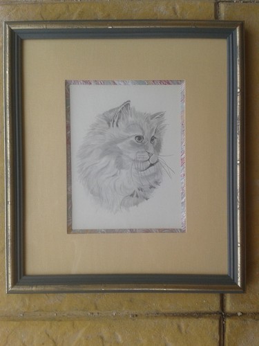 Cadre tête chat - cadre, de
