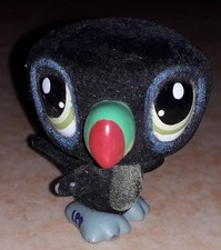 Petshop toucan 1014