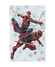 Marvel Comics N°08 (Variant -