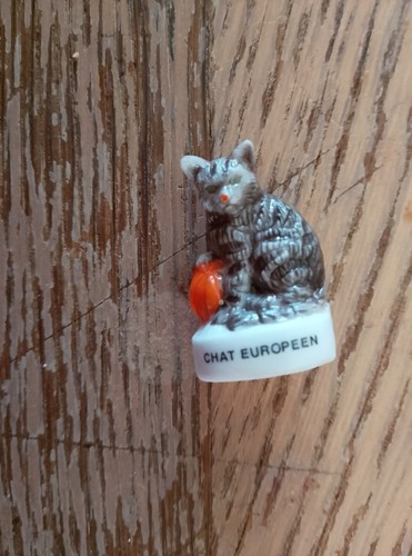 Fève chat europeen