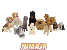 LC7 Lot 10 chiens Résine 6 à