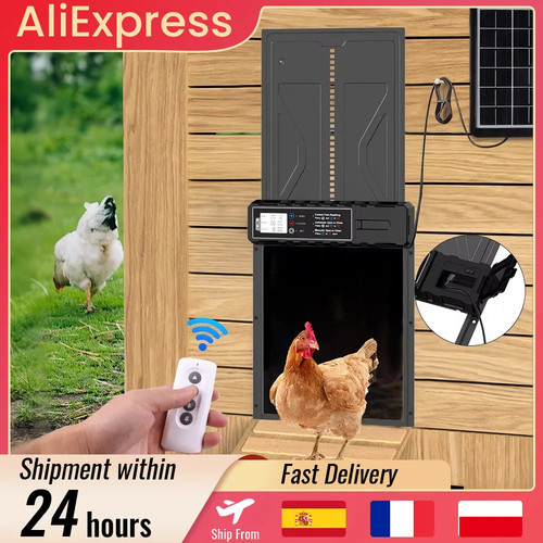 Porte automatique pour