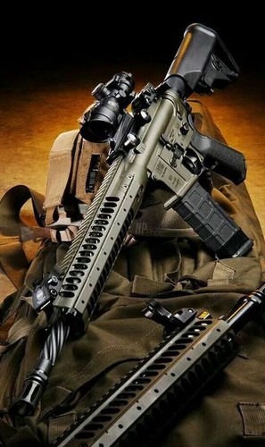 Toile tableaux arme a feu - ,