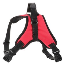  Harnais Pour Traîneau À