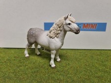 13871 - Poney gallois mâle -