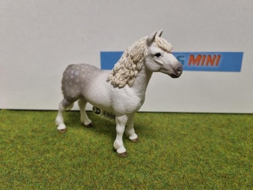 13871 poney gallois - 13871,