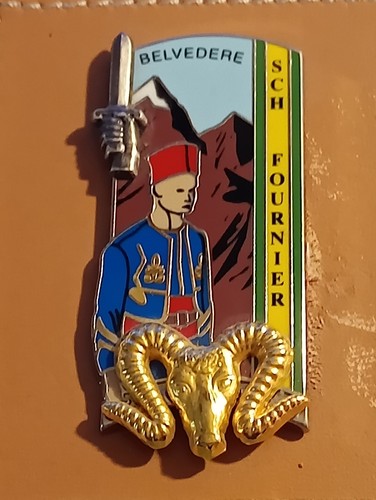 Insigne pucelle militaire sur - insigne,,