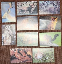 10 grandes images collection