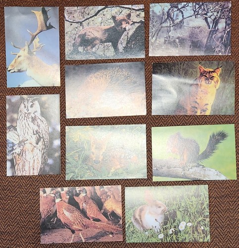 Grandes images collection - grandes,
