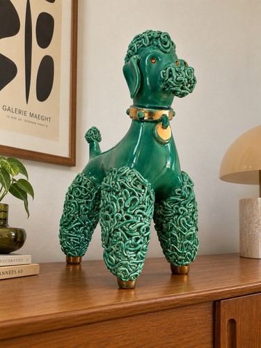 Grand caniche spaghetti - , en