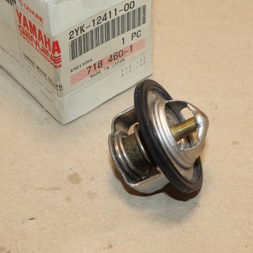 Thermostat eau tdr 240 - thermostat,