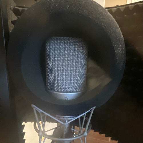 Neumann tlm silver - tlm,