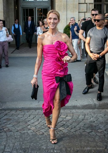 Photo céline dion portrait - dion,