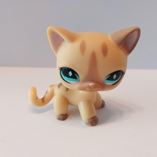 figurine PETSHOP  original  chat europeen short hair 886  pet shop LPS