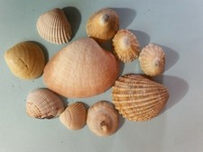 BEAU PETIT LOT n° 3 DE 9