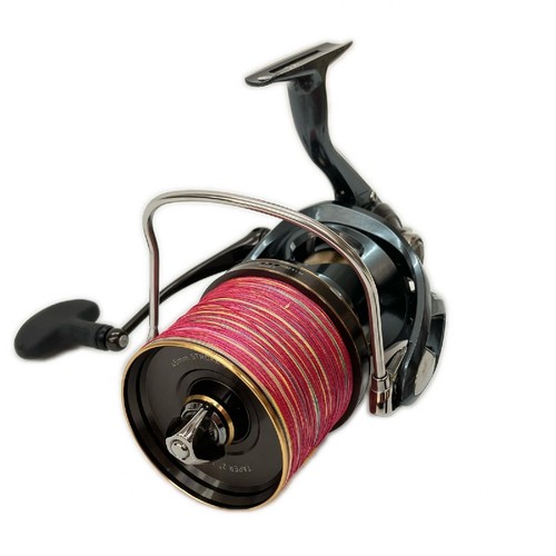 Daiwa surf basia 21surf - daiwa,