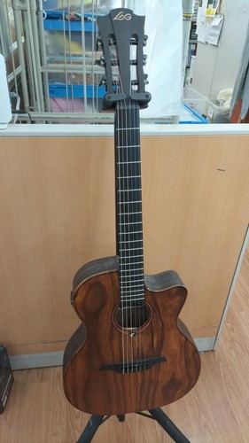 Guitare acoustique électrique