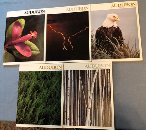 Buyer choice 4 - choice, is