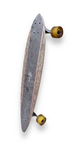 Globe pintail moonlighting - globe,
